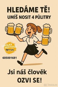 Číšník - Servírka