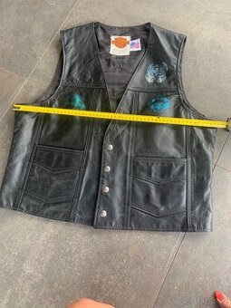 Vesta Harley davidson - 1