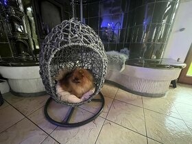 LUXUSNÍ HOUPAČKA/PELÍŠEK  PRO PEJSKA/KOČIČKU