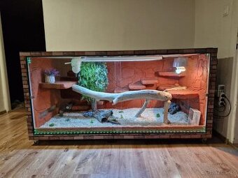 Predám teráriá + agamy bradaté – ruším chov