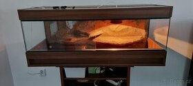 Terarium lamino120cm  + skříňka - 1