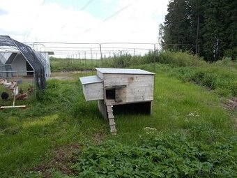 PEKNY KURNIK PRO 10-15 SLEPIC