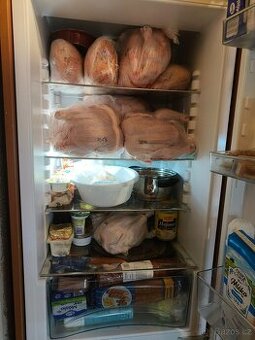 Prodám domácí kohouty a slepice