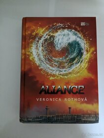 Aliance, Pan Selfridge, Protější břehy