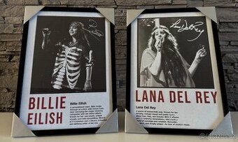 LanaDelRey & Billie Eilish (nebo cokoliv jiného na přání)