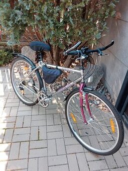 Pánské silniční kolo