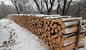 Akce Palivové dřevo - Tvrdé metrové dřevo akce