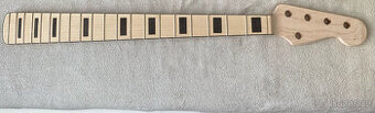 Sestava na PJ Bass 5 string - 1