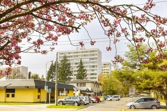 Prodej kompletně zrekonstruovaného bytu 3+kk Pardubice Polab