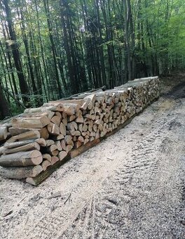 🔥 TOPENÍ BEZ STAROSTÍ – TVRDÉ DŘEVO ZA AKČNÍ CENU 🔥