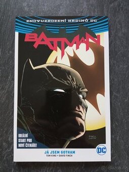 Znovuzrození hrdinů DC: Batman #01: Já jsem Gotham
