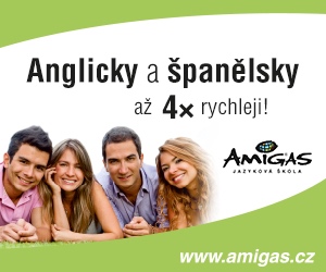 ASISTENT/KA jazykové školy – Brno