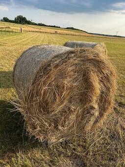 Seno - kulaté balíky