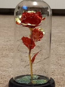Růže svítící ve skleněné váze nová