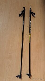 Běžkařské hůlky Skigo 100cm dětské