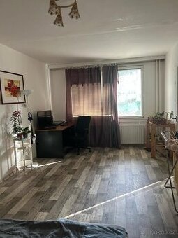 Prodej, byt 1+1, 43,7 m², Plešivec, Český Krumlov