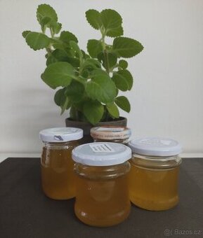 rýmovníkový sirup - 1