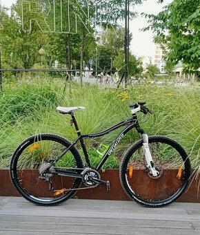 Horské kolo Specialized Jett Comp, rám 19", kola 29"