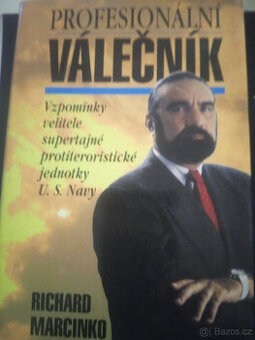 Profesionální válečník