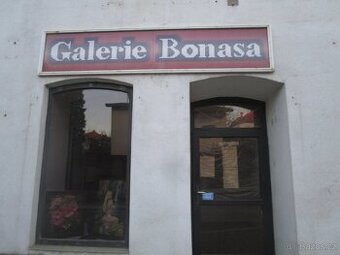 doplněk-obraz-olejomalba-akvarel-prodej obrazů-zakaz.tvor