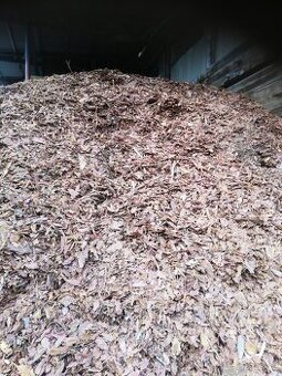 Modrinova Borová kůra