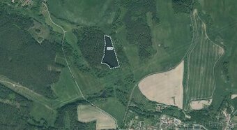 Louka, prodej, Stráž, Tachov