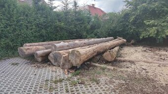Palivové dřevo