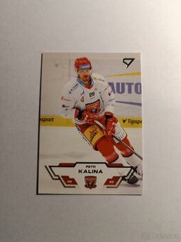 Hokejová kartička ELH Tipsport Petr Kalina