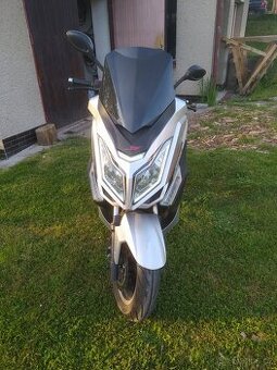 Kentoya maximus 125