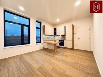 Pronájem, byt 1+kk, 26 m, Dělnická 673/9, Třešť, Česko