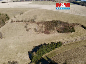 Prodej louky, 15081 m², Rybná nad Zdobnicí