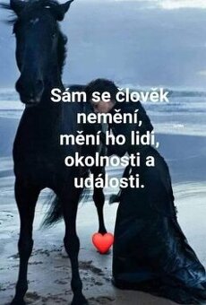 Schanim pronájem bytů
