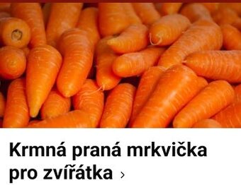 Mrkev pro koně