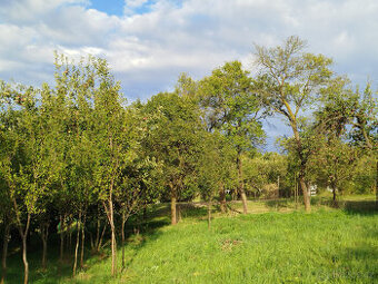 Stavební pozemek 842 m² v čisté přírodě Lubná u Kroměříže