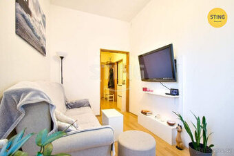 pronájem bytu 1+1 s předzahrádkou, 134004