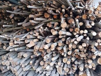 Palivové dřevo