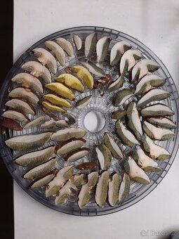 sušené houby, sběr 2025