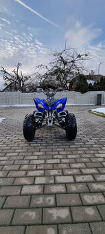 Yamaha raptor 250