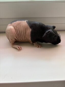 Skinny močátka