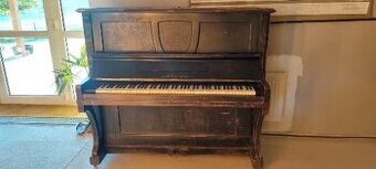 daruji Piano