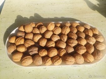 Vlašské ořechy neoloupané OSTRAVA