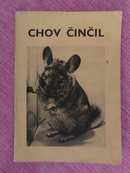 Chov činčil.