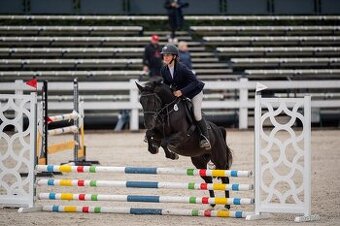 pony klisna do sportu / jezdecké školy