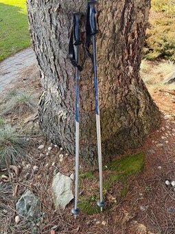 Hůlky na lyže vel 115