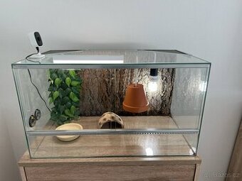 Terarium