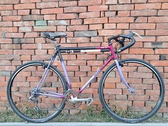 Winora Terra XC