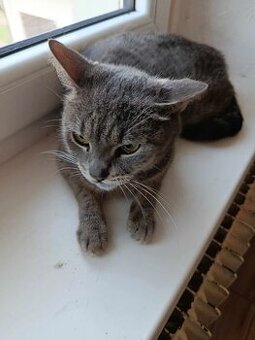 Julča hledá pohodový a milující domov