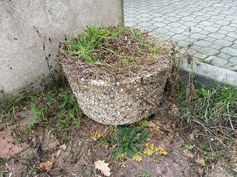 Betonový květináč