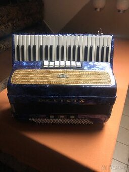Harmonika Delicia (Accordion)