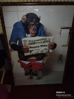 Šimpanz na toaletě s Banana News